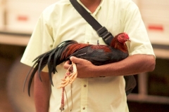 kf_peru_0071